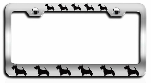 Scottish terrier dogs pets - scottish,
