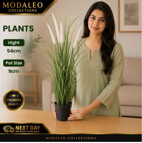 Artificial plants 204 339 36 - 1,