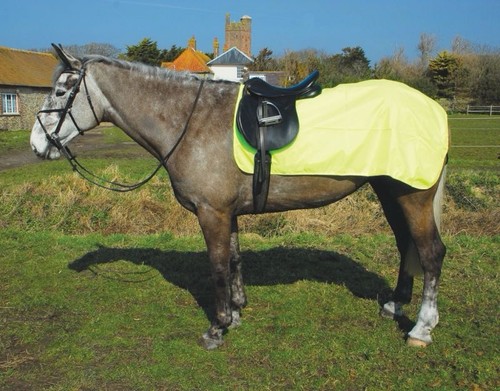 Pony size horse yellow - horse,