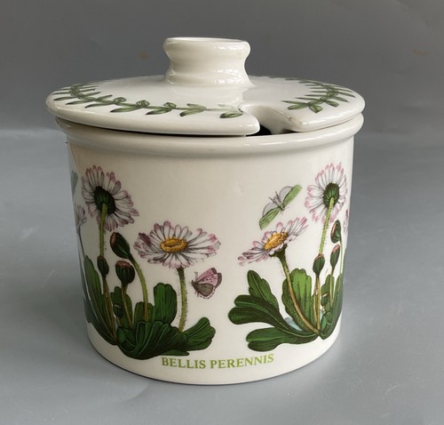 Vintage portmeirion botanic - vintage,