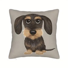 Wire Hair Cute Dachshund