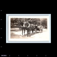 Old Vintage Photo HORSE-DRAWN