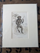 1835 Jardine Antique Monkey