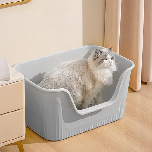 Large open cat - large,