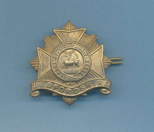 Bedfordshire regiment brass - bedfordshire, regiment.brass