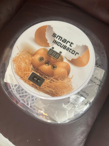 Smart egg incubator - egg, automatic