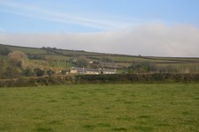 Photo 6x4 Pasture land