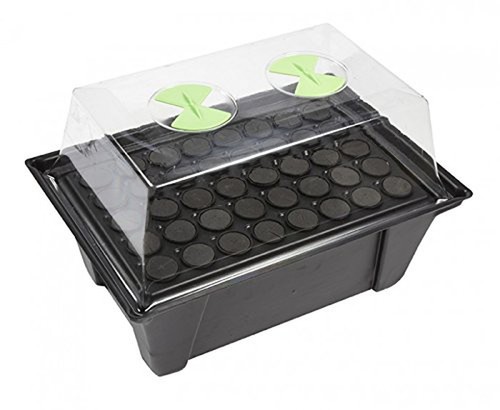 Stream plant aeroponic - 40,