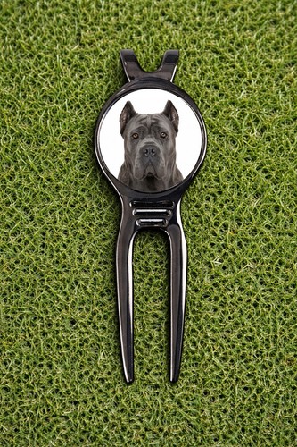 Blue gray cane corso dog - blue,