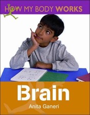 Brain (How My Body Works) (How