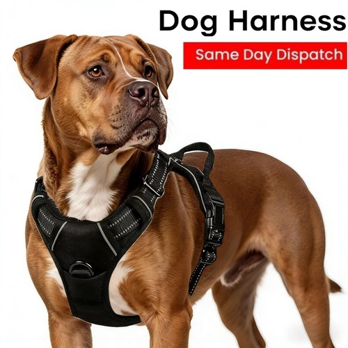 Pull adjustable reflective - pull,