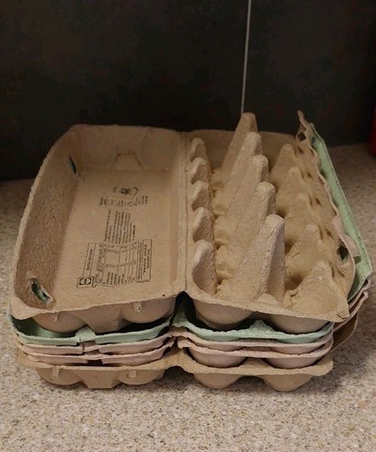 Empty cardboard egg boxes - empty,