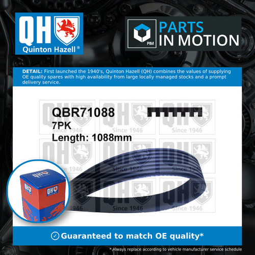 Rib multi drive belt fits - 7, v