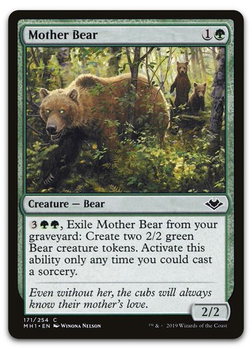 Mother bear 171 - bear, (nm)