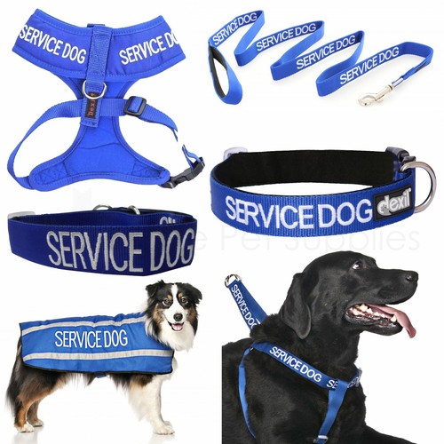 Dexil service dog worded - service,