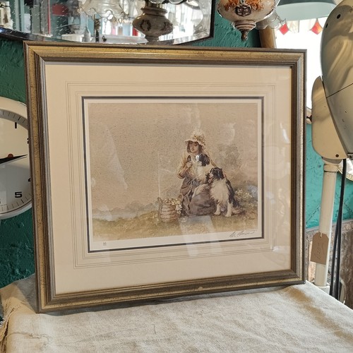 Vintage dog sheepdog border - vintage, 2
