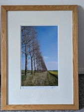 Signed Limited Edition Print Gordon Carr "Poplar Trees on Royston Road" 2/50