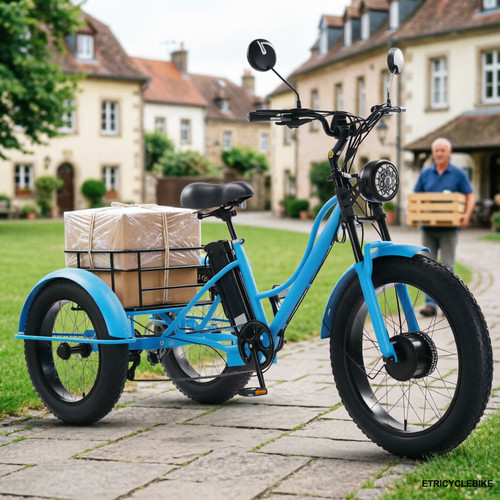 Electric tricycle inch - tricycle, 24