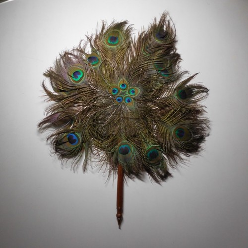 N24 165 peacock feather - n24.165,