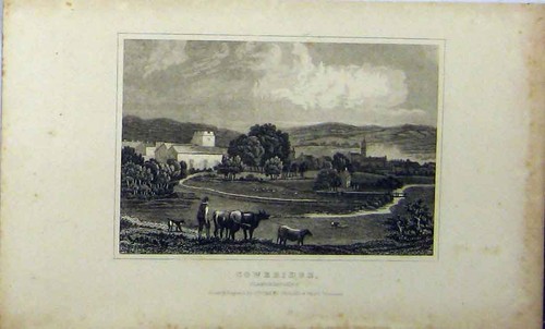 Original old antique print - original,