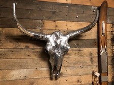 Long horn skull - long, polished