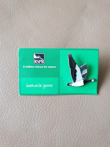 Rspb barnacle goose flying - rspb,