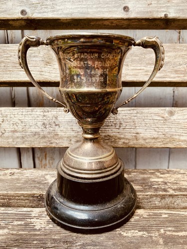 Silver trophy retro - trophy,