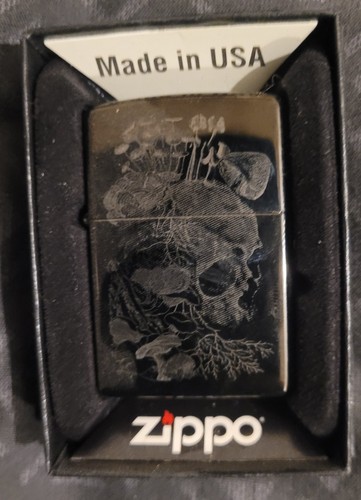 Zippo lighter never been - zippo,