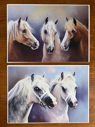Prints card of welsh - x,