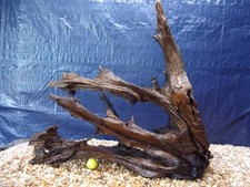 XXX-Large Driftwood