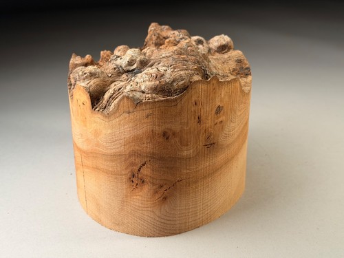 Live edge burr elm - burr,