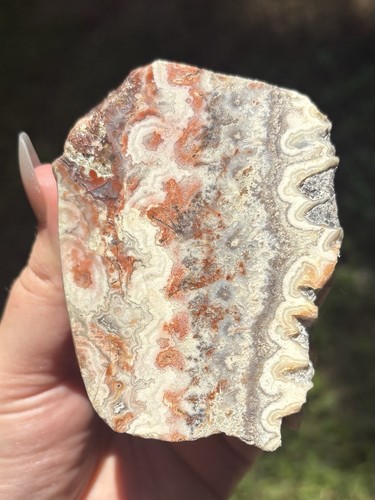 Large crazy lace agate - crazy,