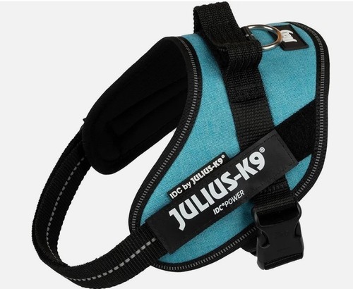 Julius power idc dog - julius-k9,