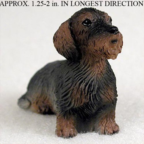 Wirehair dachshund mini hand - dachshund,