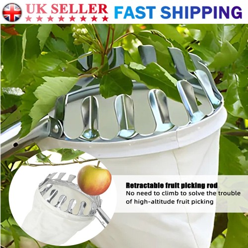 Apple fruit picker - fruit, stainless