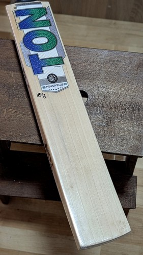Ton power plus cricket bat - power,