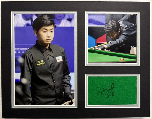World snooker tour player - world,
