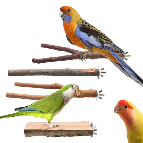 Parrot perch - perch, platform