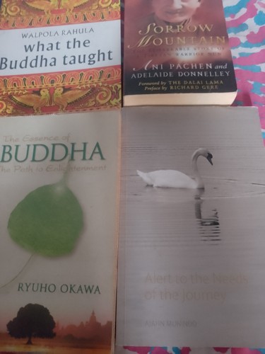 Buddhist bundle one - one, new