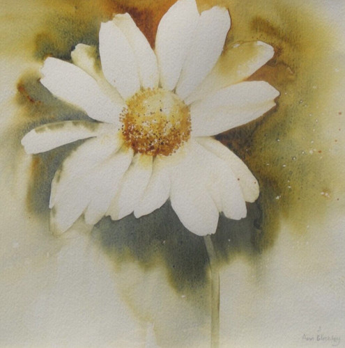 Ann blockley original - blockley,