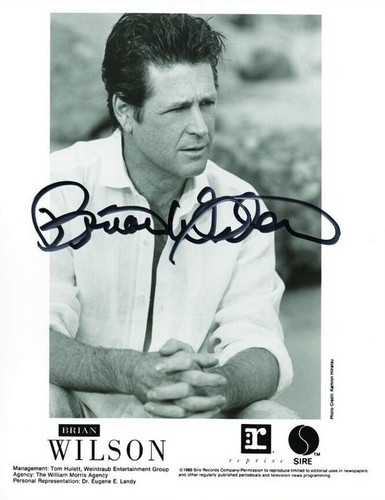 Brian wilson signed photograph - wilson,