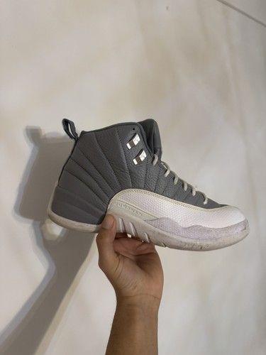 Air jordan retro - 12,