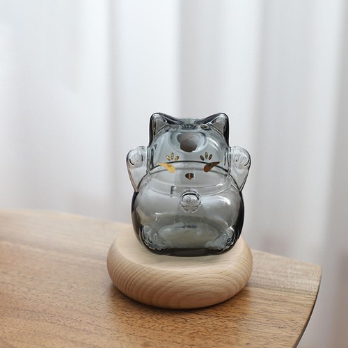 Glass piggy bank - piggy,