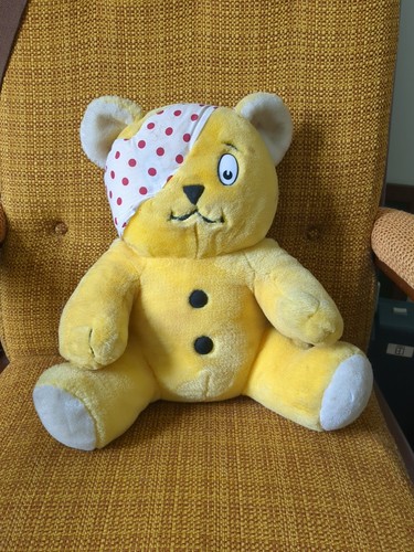 Pudsey the bear children - children, in