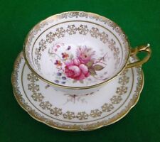 PARAGON PINK CABBAGE ROSES