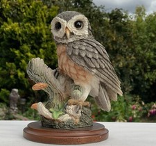 Beautiful Country Artists - Little Owl