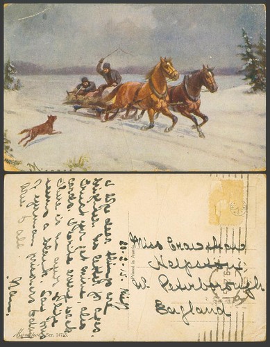 Horses drawn sledge sleigh - horses,