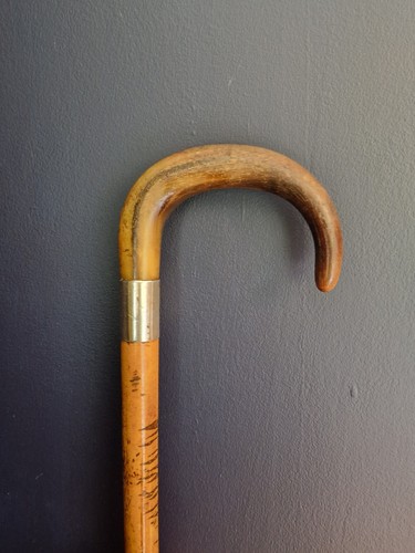 Antique walking stick - antique,