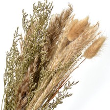 15Pcs Dried Flower Bunch Reed
