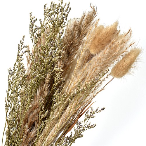 15pcs dried flower bunch - bunch, reed